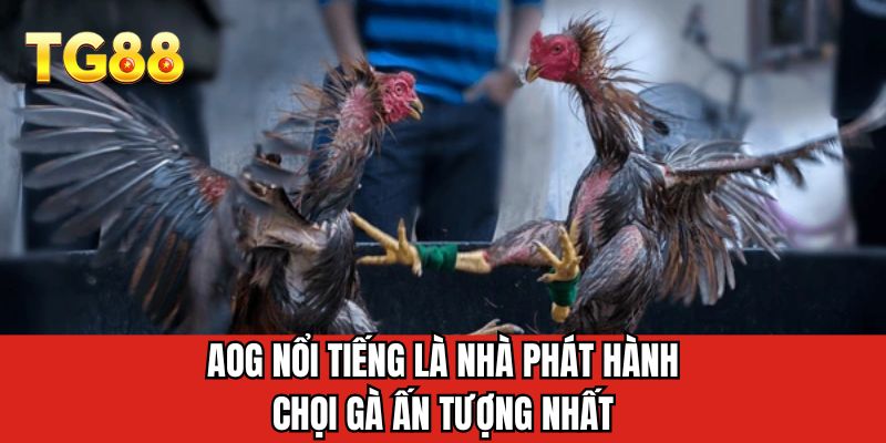 AOG nổi tiếng là nhà phát hành chọi gà ấn tượng nhất 